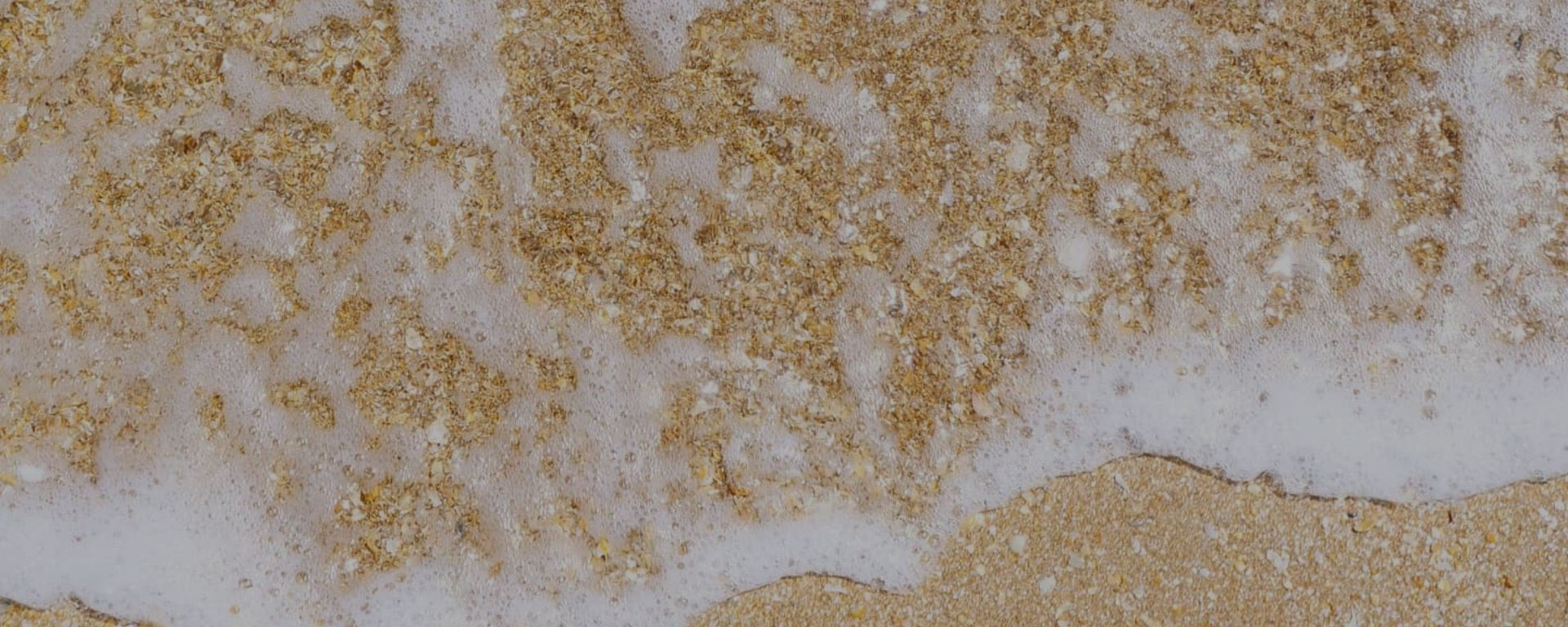 プライバシーポリシー